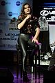 hailee-hits