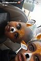 kim-saint