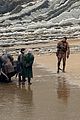 harington-beachs