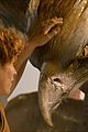 beasts-cast