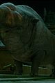 beasts-cast
