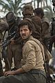 rogue-stills