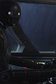 rogue-stills