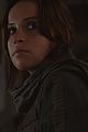rogue-stills