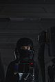 rogue-stills