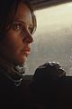 rogue-stills