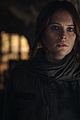 rogue-stills