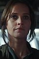 rogue-stills