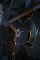 rogue-stills