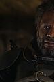 rogue-stills