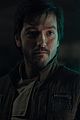 rogue-stills