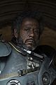 rogue-stills