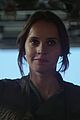 rogue-stills