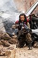 rogue-stills