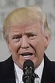 trump-false