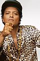 bruno-vid