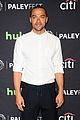 greys-paley