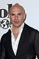pitbull-jointenri