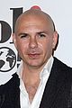 pitbull-jointenri