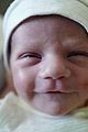 kimmel-baby