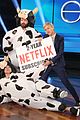 kutcher-ellendimi