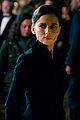 wonder-stills