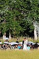 hough-weddingpics