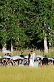 hough-weddingpics