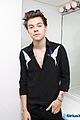 styles-proof