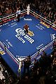 celebs-mayweather