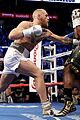 celebs-mayweather