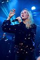 payne-goulding