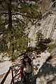sofia-yosemite