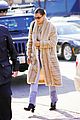 hadid-furry