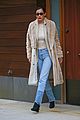 hadid-furry