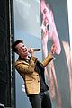 levine-caponefest