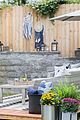 morris-backyard