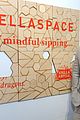 evans-stellaspacenyc
