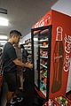 sparrow-mart1