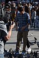 holland-pigeons