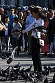 holland-pigeons