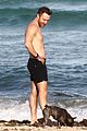 david-beach