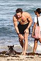 david-beach