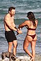 david-beach