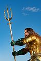 momoa-wax