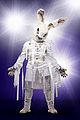 fatone-rabbit