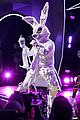 fatone-rabbit