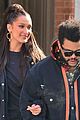 hadid-bundleup