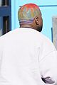 west-rainbowhair