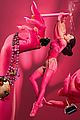 dita-gay